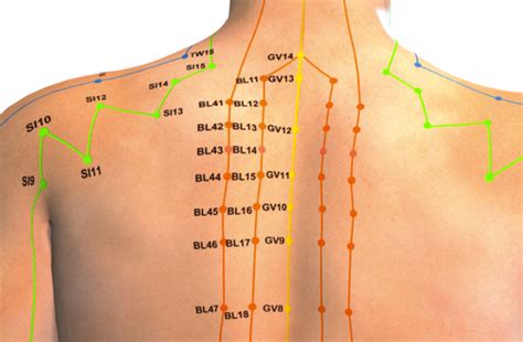 Acupuncture Point That Reduces Fevers Confirmed