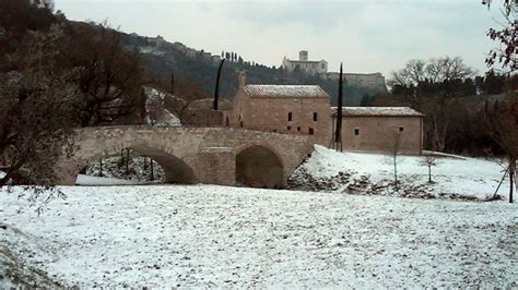 Bosco Di San Francesco In Versione Natalizia Gli Eventi Del Fai Per