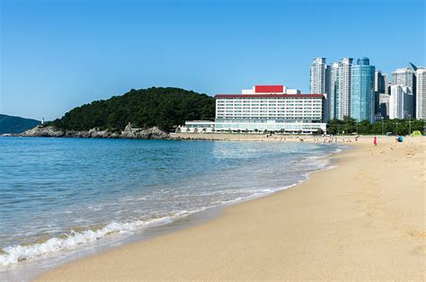 Busan Adventure Itinerary Unveiling 4 Days Of Thrills And Spills In