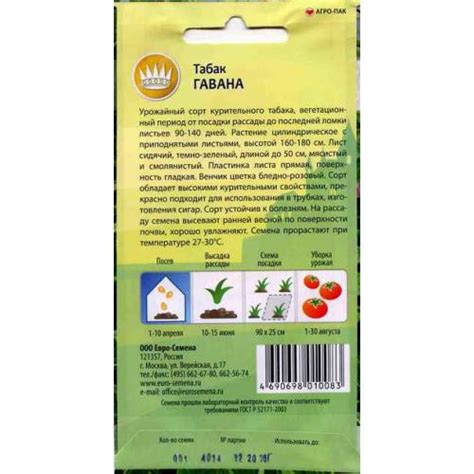 Курительный табак семена — сорт ГАВАНА.