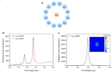 A Schematic Illustration Of Selectional Graphene Nanodisks With