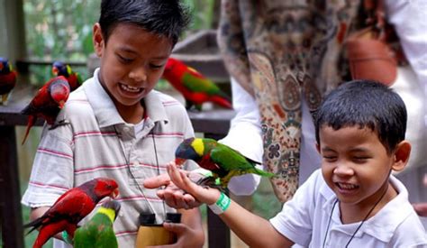 Kl Bird Park Kini Dibuka Semula Tawar Promosi Tiket Masuk Serendah Rm