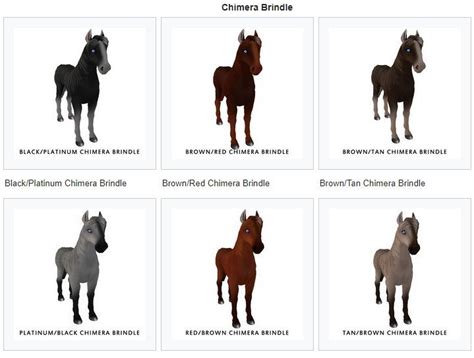 Chimera Genetics Horse