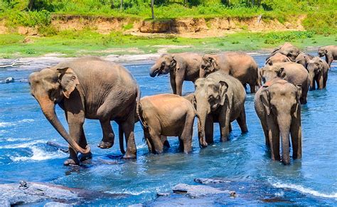 The 20 Best Places To Visit In Sri Lanka 2019 Travel Guide