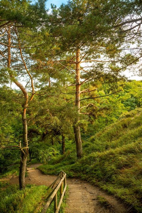 Premium Photo Scenic Landscape Of A Mountain Trail Between Beautiful