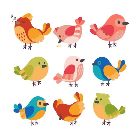 Tema dibujado a mano de colección de aves Vector Gratis