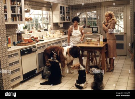 Seems Like Old Times Yvonne Wilder Goldie Hawn 1980 C Columbia
