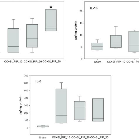 Concentrations Of Pro Inflammatory Cytokines Tnf α Il 1β And Il 6 In