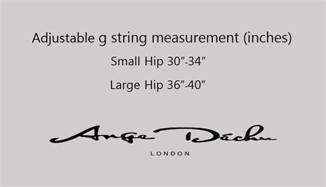 Sexy See Through Lingerie Panties G String Thong Erotic Sheer Lingerie In Black Lace Micro