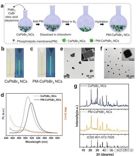 生物催化cspbx3钙钛矿纳米晶：一种用于生物代谢物分析的自报告纳米探针 知乎