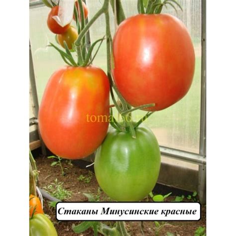 Стаканы красные Минусинские