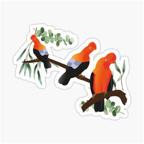 The Cock Of The Rocks Or Tunqui Gallito De Las Rocas Sticker For