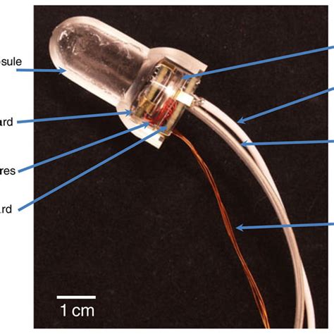 Pdf Development Of A Wireless Intra Vaginal Transducer For Monitoring Intra Abdominal Pressure