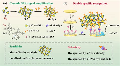 A Schematic Diagram Of The Spr Signal Amplification Strategy Based On Download Scientific