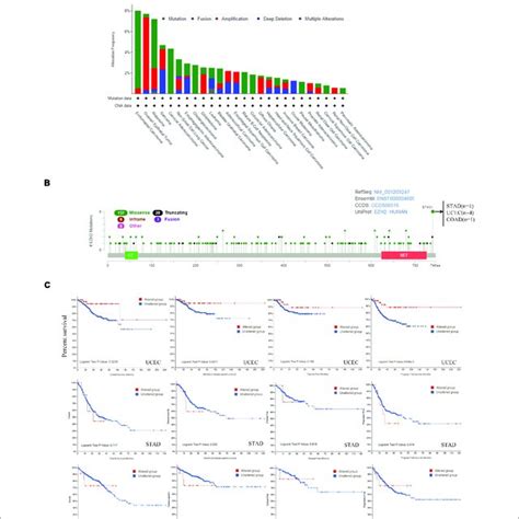 Mutation Feature Of Ezh2 In Different Tumors Of Tcga The Alteration