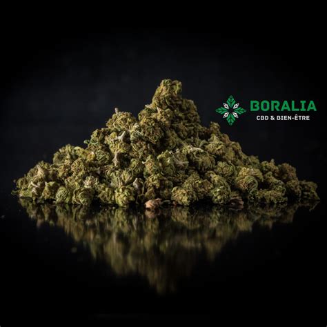 Mix Small Buds CBD Boralia CBD Shop Paris 15