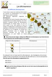 Monde Du Vivant Eme Primaire Exercice Valuation R Vision Le On