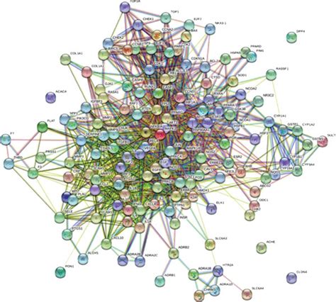 The Construction Of Drug Compound Target Disease Network And Ppi