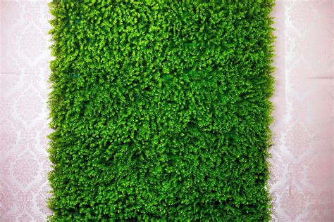 Placa De Grama Artificial P Jardim Vertical Muro Ingl S Elo