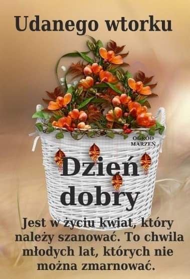 Mi Ego Wtorku Ideas In Wtorek Dzie Dobry Cytaty Na Dzie Dobry