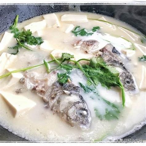 燉食鯽魚湯可補虛通乳、美容養顏，下奶鯽魚湯5種做法你都會嗎？ 每日頭條