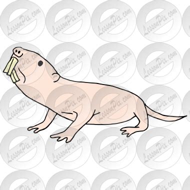 Naked Mole Rat Coloring Pages 2025