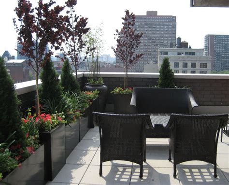 Rooftop Terrace Roof Garden Balcony Container Plants Outdoor