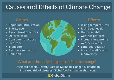 Narrative essay: Cause and effect of climate change short essay