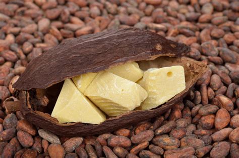 Чем полезно масло какао - foodandmood.com.ua