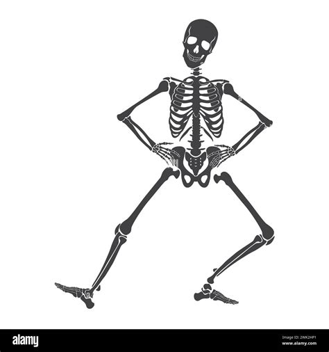 Dance Of Black Human Skeleton Energy Dancing Movement Of Happy Funny Dead Character Vector