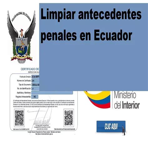 Limpiar Antecedentes Penales En Ecuador 2024