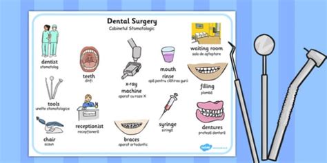 Dentist Surgery Word Mat Romanian Translation Teacher Made