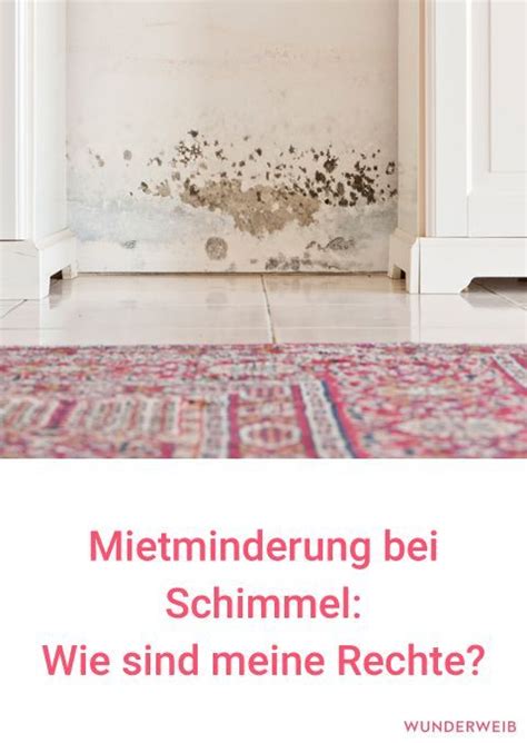 Mietminderung Bei Schimmel Wie Sind Meine Rechte Als Mieter