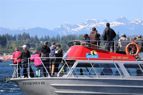 Campbell River Museum Historic Boat Tour - Campbell River Whale ...