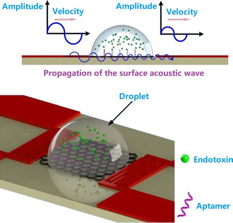 Principles and schematic illustration of endotoxin detection on the... | Download Scientific Diagram