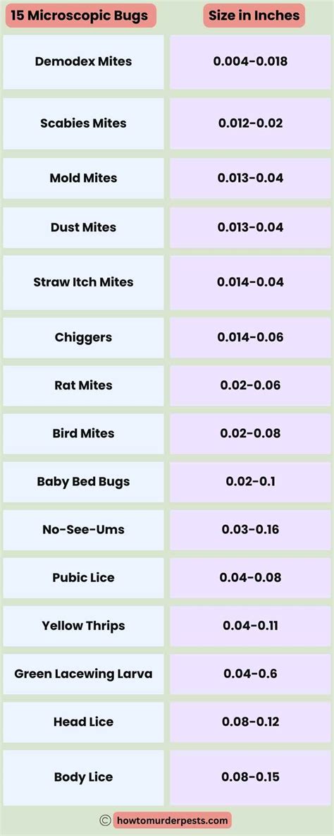 15 Invisible Microscopic Bugs That Bite And Easy Solutions