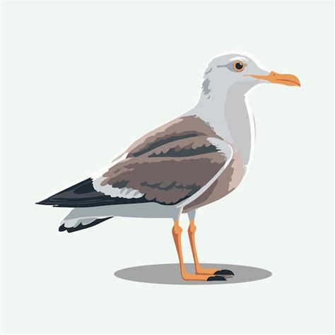 Premium Vector Vector Cute Seagull Cartoon Style