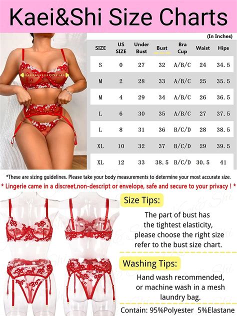 Buy Kaei Shi Embroidered Applique Lace Lingerie Underwire Mesh Sheer