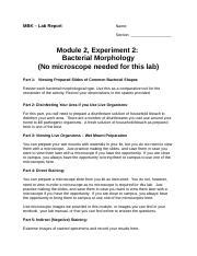 M2 Exp 2 BacterialMorphology MBK Lab Report Name Section Module 2