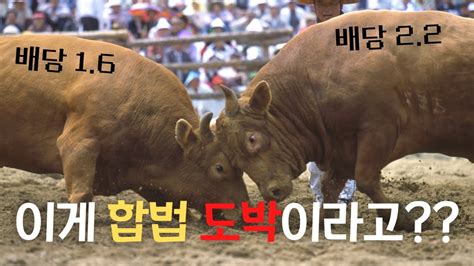 합법 도박 대한민국 국민이면 누구나 베팅이 가능한 합법 도박 토토 7가지 97 개의 가장 정확한 답변