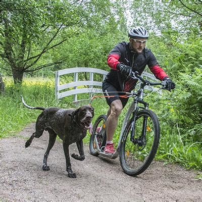 Dog Mushing on a scooter