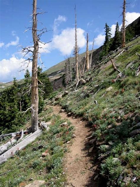 The Continental Divide Trail... : Photos, Diagrams & Topos : SummitPost