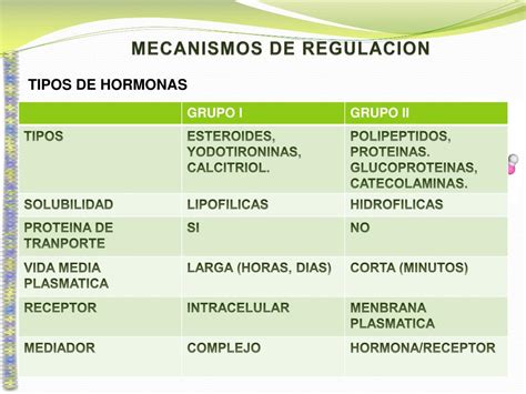 PPT MECANISMOS DE REGULACION HORMONAL PowerPoint Presentation Free