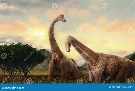 Dinosaur stock illustration. Illustration of grounds - 79770207