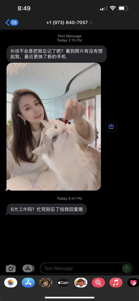 chinese scam / spam texts ive been getting a lot of lately : r/ScamNumbers