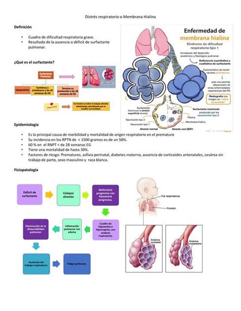 Distr S Respiratorio O Membrana Hialina Daniela Caceres Udocz