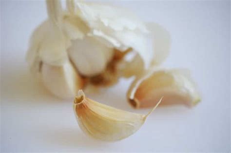 Technique: How to peel and prep a clove of garlic - Maureen Abood