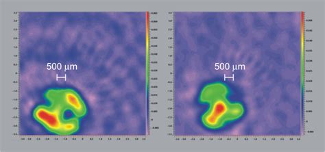 EPR Imaging | High Power X-Band Imaging Gradients | Bruker