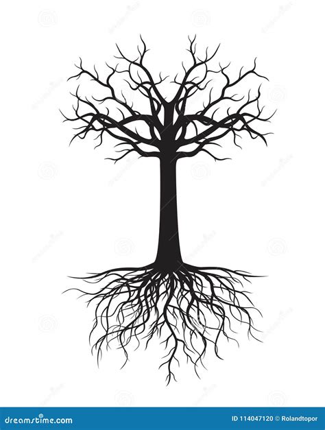 Naked Tree Silhouette On White Background Fine Detailed Realistic