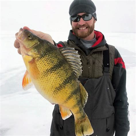 Devils Lake Ice Fishing Guide Secrets To Winter Perch